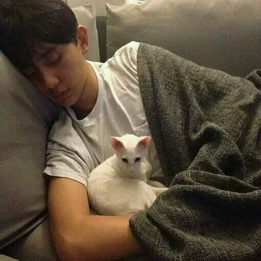 ʲô�ǳ���ȩ�������̿�أ��������ӵ���������