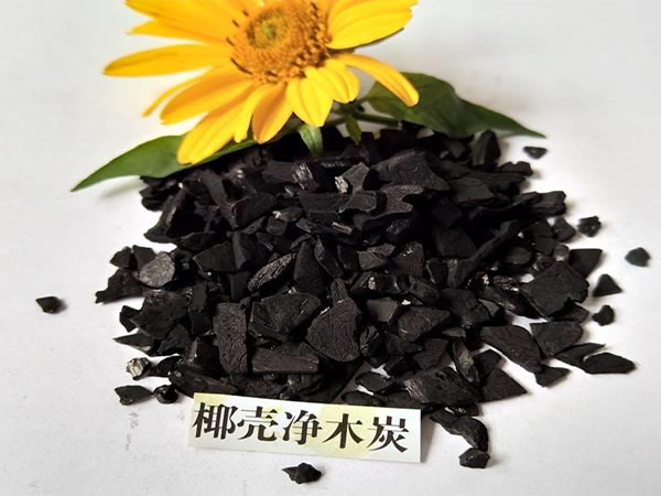 �្�����������ἰ�������л���̿������