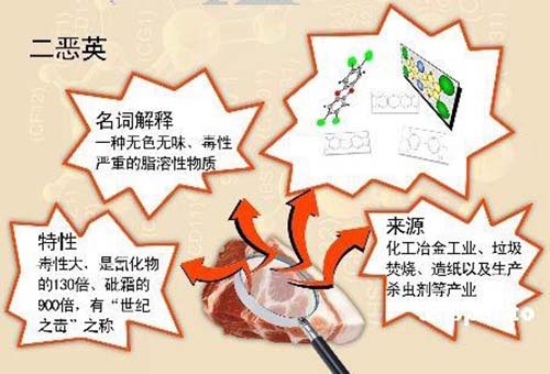 ����̿����������Ӣ�U���е�����