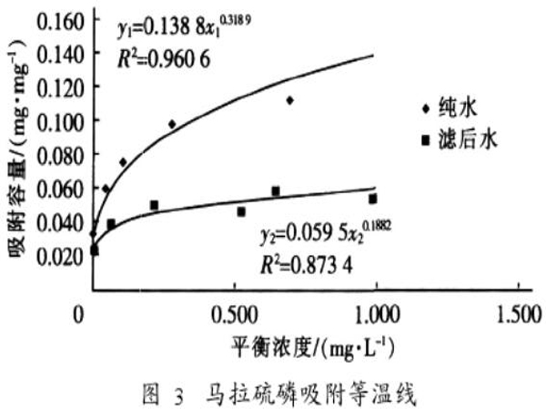 �۠����̿���R�����׵���������